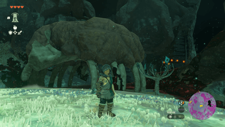 TotK - East Necluda Depths