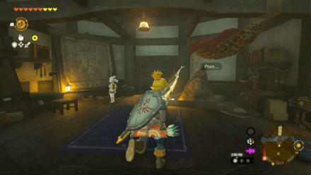 TOTK - Dark Tunic Location