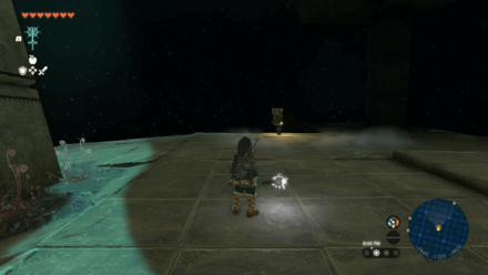 TotK - Hyrule Ridge Depths