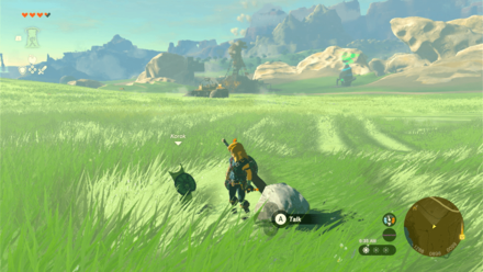 TOTK - Wetland Stable Korok Seed