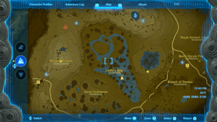 Tears of the Kingdom - Ludfo