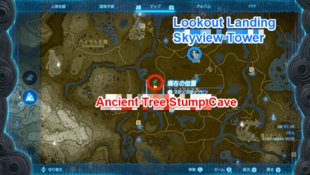 Zelda TotK - Fierce Deity Boots Map Location