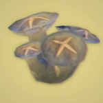 Legend of Zelda TOTK Toasty Brightcap