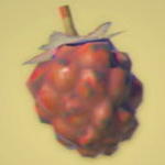 Legend of Zelda TOTK Roasted Wildberry