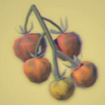 Legend of Zelda TOTK Roasted Hylian Tomato