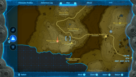 Tears of the Kingdom - Ancient Columns