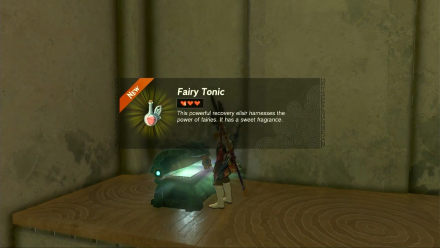 Zelda TotK Makasura Shrine Fairy Tonic