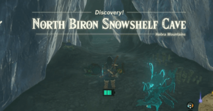 TOTK - Vah Medoh Divine Helm Location