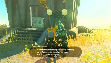 Zelda TotK Steward Construct Bravery Island