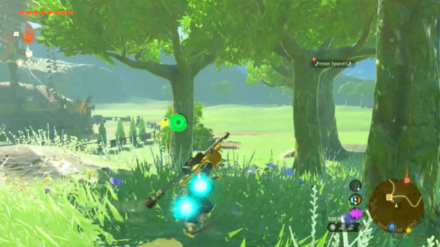 Tears of the Kingdom TOTK Highland Stable