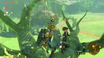 Tears of the Kingdom TOTK The Flute Player