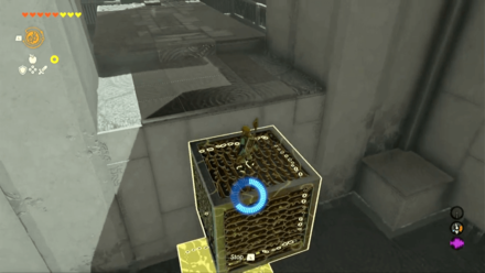 Zelda TotK Ekochiu Shrine Step 5