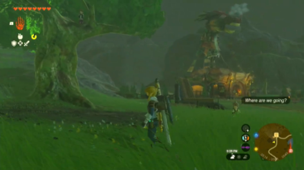 Zelda Tears of the Kingdom TotK Fetching Haite