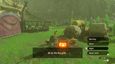 Zelda Tears of the Kingdom TotK Waiting Until Night