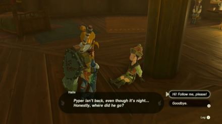 Zelda Tears of the Kingdom TotK Talking to Haite