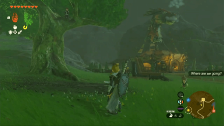 Zelda Tears of the Kingdom TOTK - Serenade to Kaysa Pyper