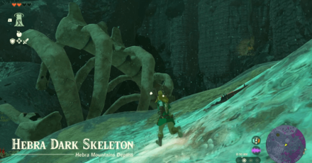 Zelda TotK - Hebra Dark Skeleton Overworld Image