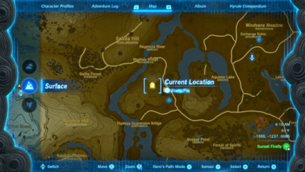 Tears of the Kingdom - Kaysa