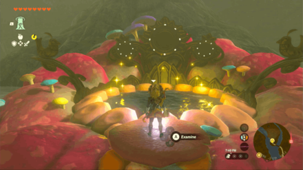 Zelda Tears of the Kingdom TotK - Great Fairy Cotera Overworld Location