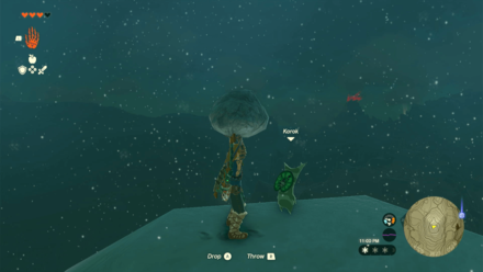 TotK - Korok Seed