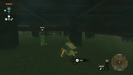 TotK - Korok Seed