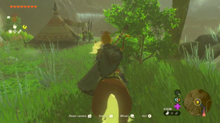 Tears of the Kingdom TOTK Kakariko Village