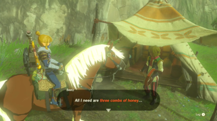 Zelda Tears of the Kingdom TotK Collect 3 Combs of Honey