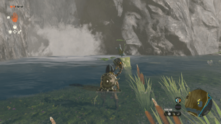 TOTK - Wetland Stable Korok Seed