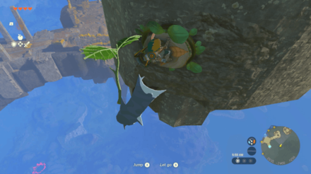TotK - Korok Seed