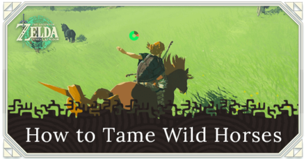 Zelda TOTK - How to Tame Wild Horses