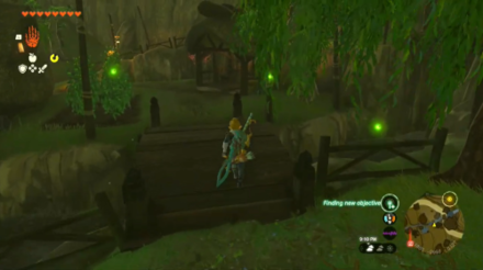 Zelda Tears of the Kingdom TotK Getting Sunset Fireflies