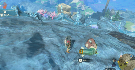 TotK - Korok Seed x2