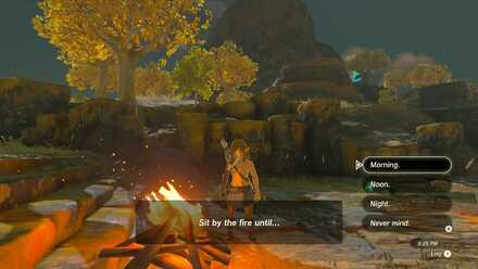Zelda TotK - Sit by the Campfire