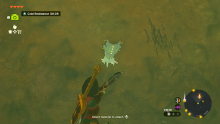 TotK Defeat a Bubbul Frog