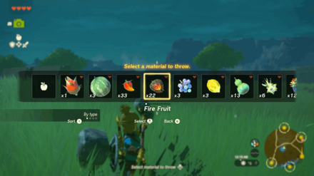 Zelda TotK - Press and Hold the Up Button on the D-Pad