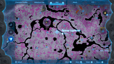 Tears of the Kingdom - Oyimay Lightroot