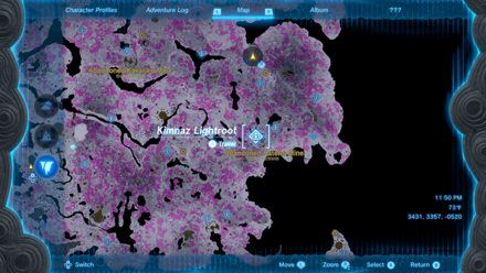 Tears of the Kingdom - Kimnaz Lightroot