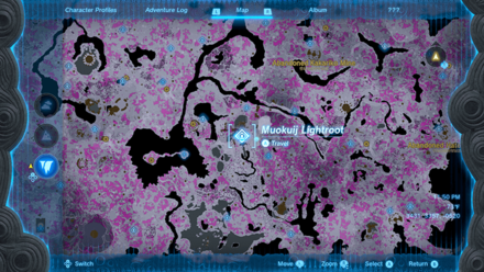 Tears of the Kingdom - Muokuij Lightroot