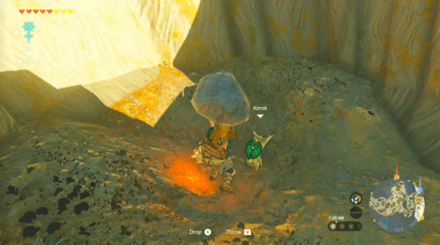 TotK - Korok Seed