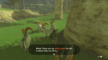 TOTK - White Goats Gone Missing Examine Bottle