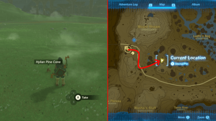 TOTK - White Goats Gone Missing Follow Pine Cones