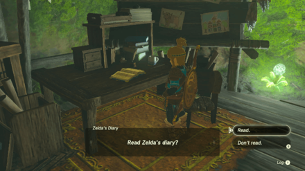 Zelda TotK - Read Zelda