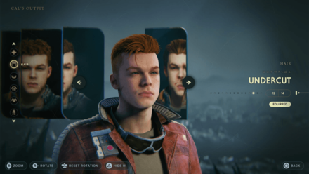 Hair Customization.png