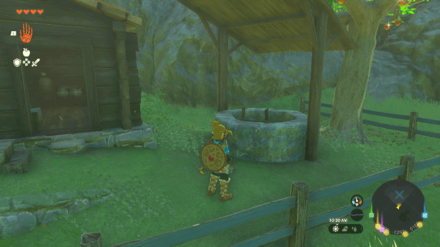 Zelda TotK - Find Zelda