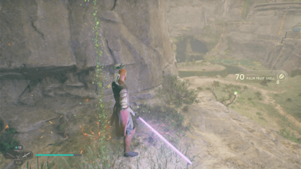 Fallen Order - Palm Fruit Shell In Game Image