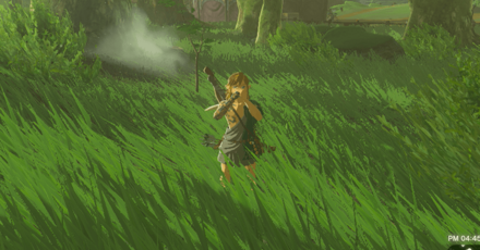 Zelda TotK - How to Whistle