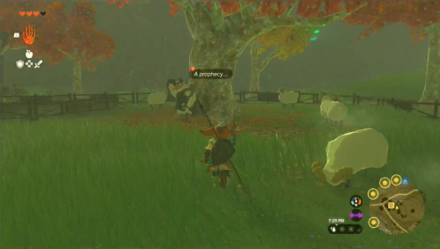 The All-Clucking Cucco Quest