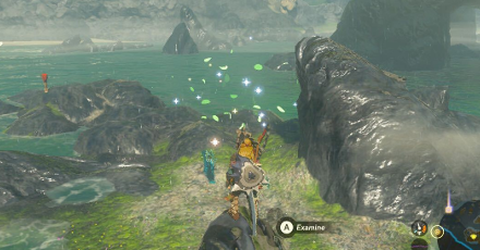 TotK - Korok Seed