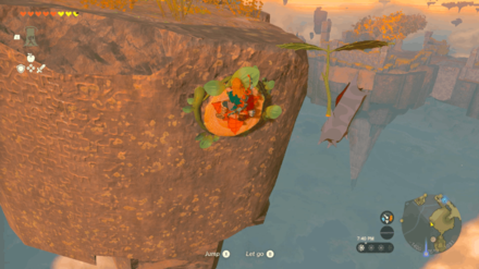 TotK - Korok Seed