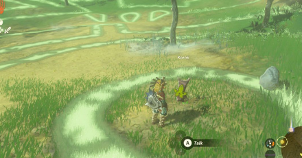 TotK - Korok Seed